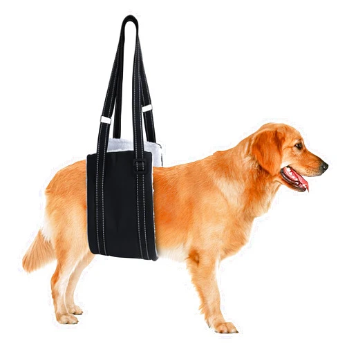 ARZQUT Dog Sling for Back Legs, Dog Sling for Large Dogs Hind Leg Support Adjustable Dog Sling, Dog Support K9 Dog Lift Harness, Helps Senior Dog, Lnjured, After ACL Surgery Rehabilitation (Large)