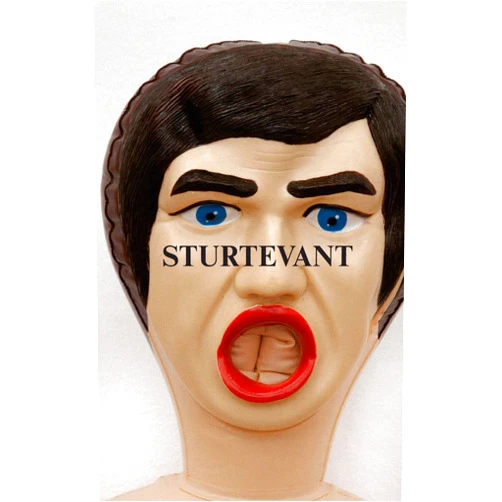 Fredrik Liew,Elaine Sturtevant,Daniel Birnbaum,Bruce Hainley,Paul McCarthy,Stéphanie Moisdon,Beatrix Ruf Sturtevant: Image Over Image