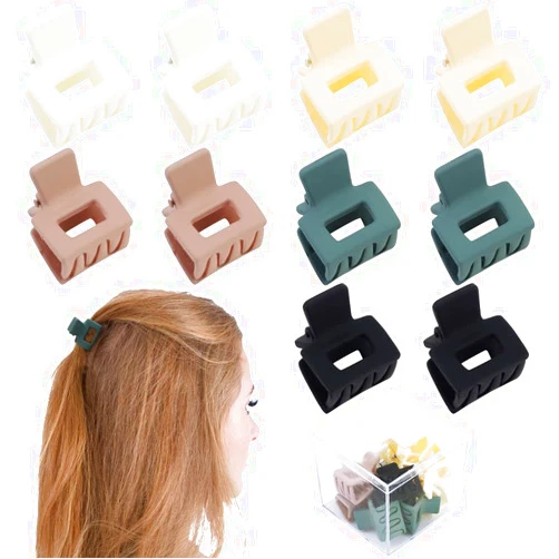 Ahoney 10Pcs Mini Hair Clips: 1inch Matte Jaw Clips, Barrettes for Thin to Thick Hair - Cute Tiny Clips with Box (Neutral)