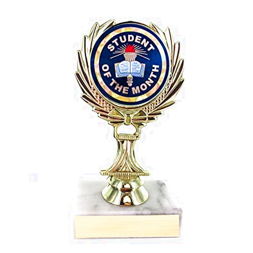 SHOP AWARDS AND GIFTS Trophy with Custom Plate, Engravable Customizable Personalized Academic Award, 5-1/4 Inch,