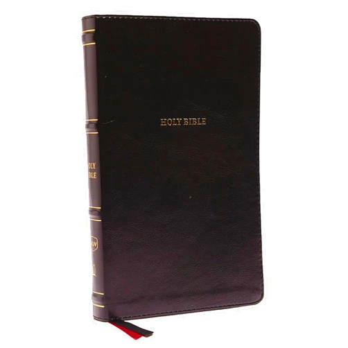 By Thomas Nelson (Author) NKJV, Thinline Bible, Leathersoft, Black, Red Letter, Comfort Print: Holy Bible, New King James Version