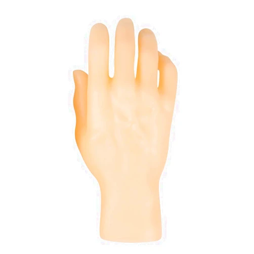 YANGSHINE Lifelike Mannequin Feet PVC Manikin Female Left Foot and male Right Foot Shoes Feet Model Display (Right hand)