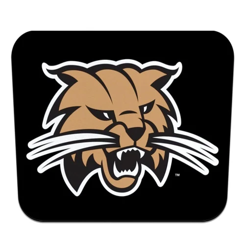 GRAPHICS & MORE Ohio University Secondary Logo Low Profile Thin Mouse Pad Mousepad