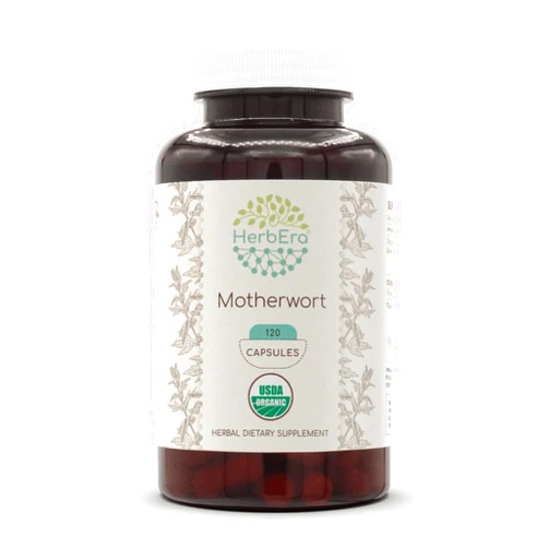 HerbEra Motherwort USDA Organic 120 Capsules | Natural Herbal Supplement | Certified Organic Vegetarian Capsules and Organic Motherwort (Leonurus Cardiaca) Dried Herb (120 Capsules)