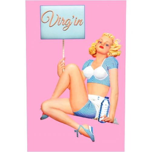 Virg'in book addict Virg'in: COLLECTION PIN UP; CAHIER DE NOTE VIERGE SANS MARGE AVEC LIGNE DE 150 PAGES THÈME PIN UP FORMAT 15/22,8. (French Edition)