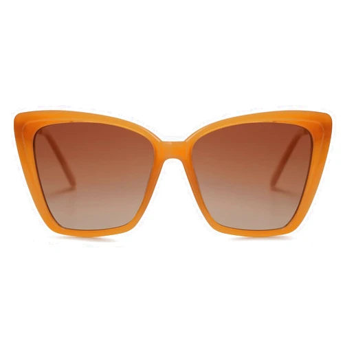 SOJOS Trendy Polarized Sunglasses For Women Retro Womens Oversized Square Cat Eye Sun Glasses UV Protection SJ2206