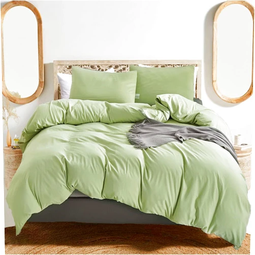 Luxlovery Sage Green Comforter Set Queen Light Green Bedding Comforter Set Modern Solid Color Dusty Aloe Green Cotton Blanket Quilts Plain Green Soft Breathable 3 Piece Bedding Set for Women Men