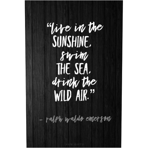 Writing Axis Fun Gifts: Blank Notebook — “Live in the sunshine, swim in the sea, drink the wild air.”
