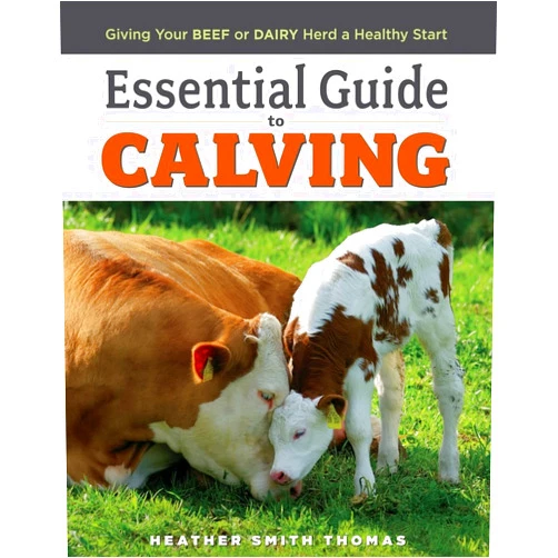 Heather Smith Thomas,Elara Tanguy Essential Guide to Calving: Giving Your Beef or Dairy Herd a Healthy Start