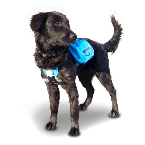 Kurgo Dog Saddlebag Backpack, Back Pack Dog Harness, Hiking Pack for Dogs, Packs for Pets to Wear, Camping & Travel Vest Harness, Reflective, Lightweight, Baxter Pack, for Medium & Large Pets