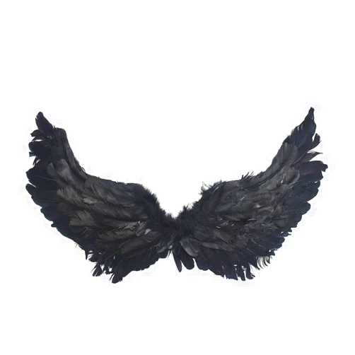 Musdoney Angel Wings Magic stick for Kids Angel Costume Adult Feather Wingsare Used for Halloween Christmas Eve Costume Dress Up (Black)