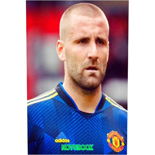Meneazes Mollyzs Notebook : Luke Shaw Notebook 100 pages | Thankgiving Notebook | Diary For Students, Teens, and Kids #423