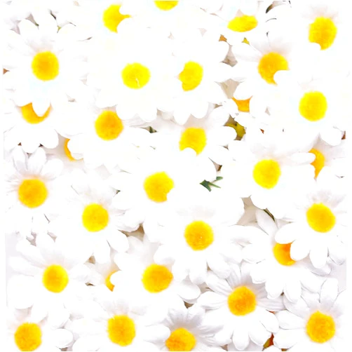 JOHOUSE 200PCS Silk Daisys, Artificial Gerber Chrysanthemum Flowers Heads for Wedding Decoration, Home Decoration and DIY