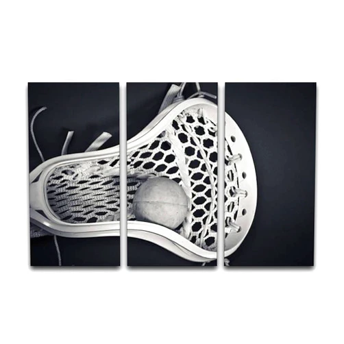 BEGYHZGLCF 3 Panel Canvas Wall Art Decor Lacrosse Head with Ball Black and White Poster Print On Canvas Artworks for Office Home Living Room Decor with Framed Ready to Hang, Multi2, 16ix32inchx3pcs