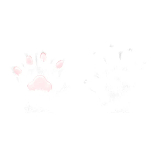 HAOAN Furry Fur Cat Wolf Fox Dog Fur Animal Paws Claws Golves Mittens Hands Costume Cosplay for Kids