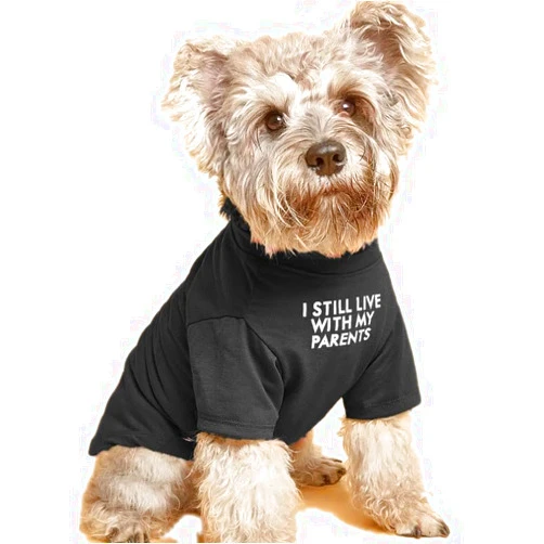HipGirl Cute Dog Clothes,Dog T Shirt for Medium Dogs, Small Dogs Girl Boy,Puppy.Breathable Soft Dogs Costume Pet Cats,Pet Pullover Jumper,Cat Clothes (S-(4~8lb), Chest~14