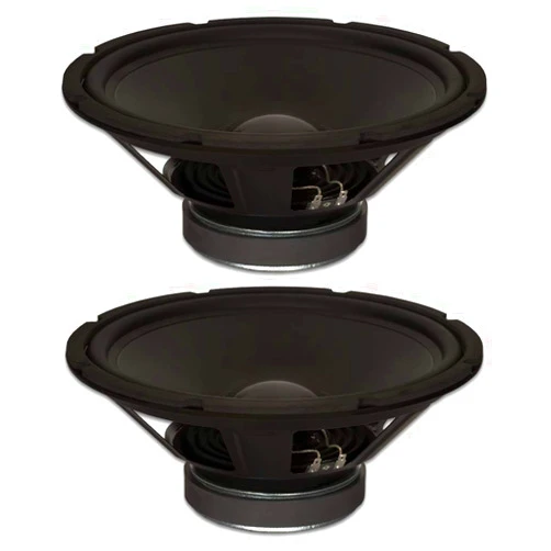 Goldwood Sound, Inc. Stage Subwoofer, Rubber Surround 12
