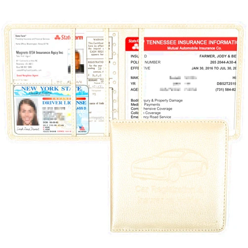 Techion Car Insurance and Registration Holder, 5.5 x 5 Inch PU Leather Vehicle Glove Box Organizer Wallet Case for Insurance Card, Driver License, Paperwork - Champagne