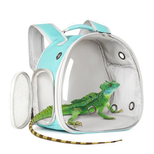 WEVONIGU Guinea Pig Backpack Carrier, Bearded Dragon Carrier Backpack with Clear Bubble Window,Small Animal Travel Backpack for Hedgehog Rat，Chameleon,Rabbit,Sugar Glider,Airline Approved (Green, Backpack)