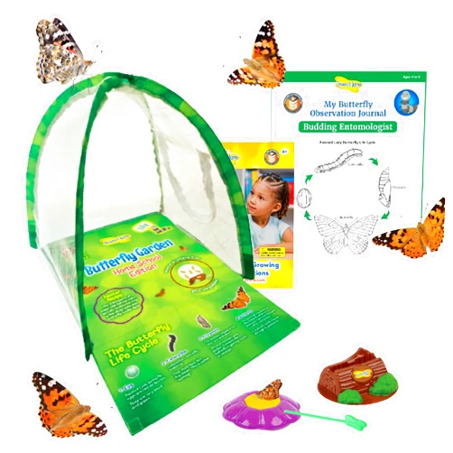 Insect Lore Butterfly Garden Experience | No Fee Prepaid Voucher | Redeem Raise and Release 5 Baby Painted Lady Caterpillars | Observation Habitat and All Supplies Included
