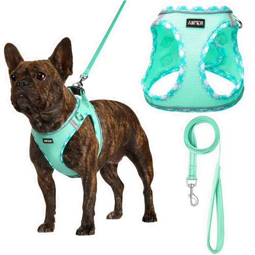 AMTOR Small Dog Harness with Leash Set, No Escape Easy Walk Puppy Harnesses for Training Walking, Step-in Reflective Soft Dogs Vest for XS S Medium Extra-Small Large Sized Dog(Green,S)