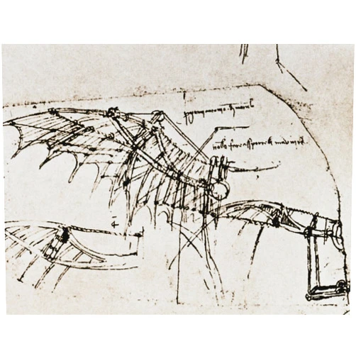Posterazzi Leonardo Da Vinci Ndesign For A Flying Machine Wing Operated By A Spring Poster Print by (18 x 24)