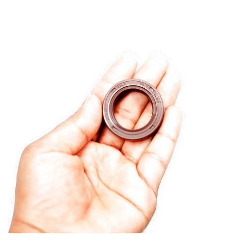 EAI VITON Oil Seal 1.000
