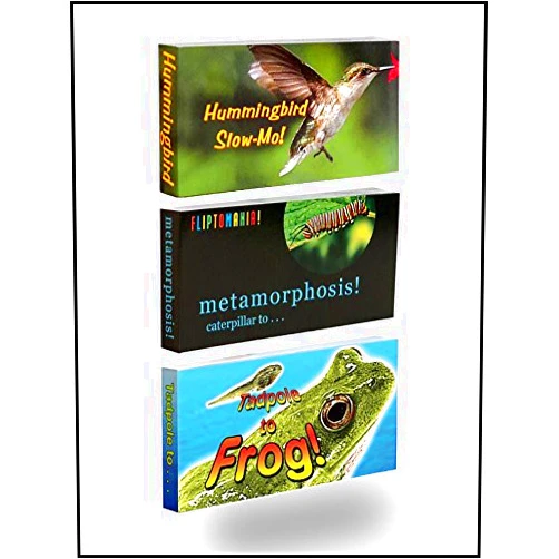 Fliptomania Nature Flipbook 3-Pack: Butterfly, Hummingbird, and Frog Flipbooks