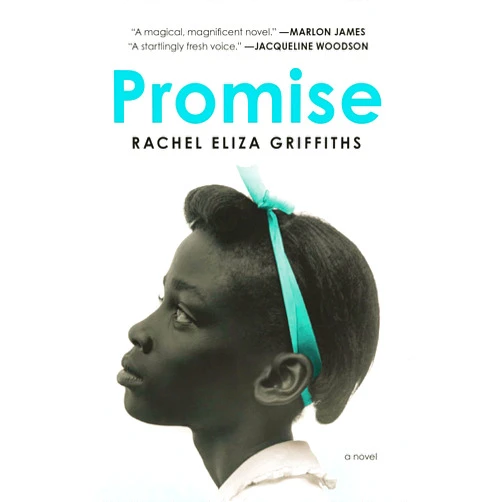 Rachel Eliza Griffiths Promise: A Novel