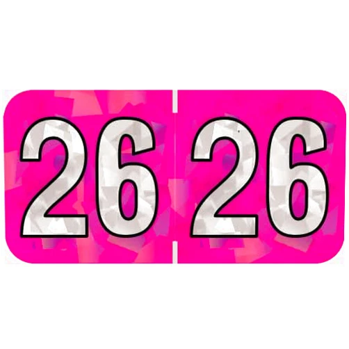 Doctor Stuff 2026 Year Stickers, Doctor Stuff 2026 Chart Stickers, Holographic Fuchsia Colored, USA Made Year Labels for End Tab File Folders, 500 Labels per Roll, 1 Roll, 3/4