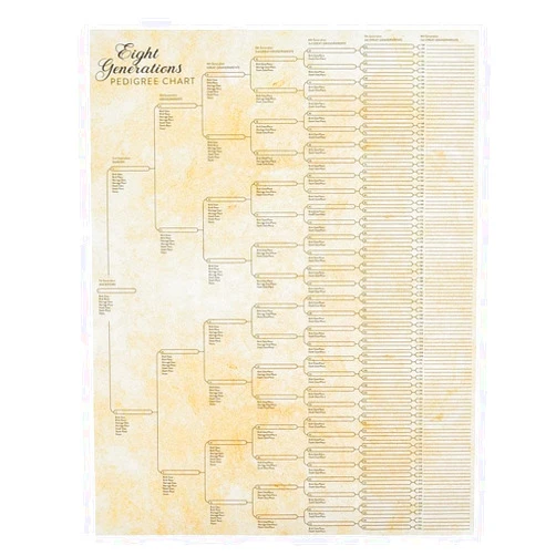 Generic Family Tree Chart to Fill in,Large Print Family Tree Picture Frame Wall Decor Gift for Family Member,Blank Genealogy Poster for Family History, Lineage, Reunions, Large Pedigree Ancestry Organizer