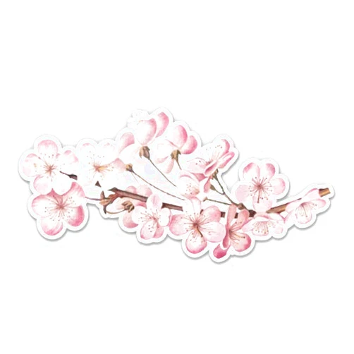 Sticker Mine Cherry Blossom Sticker - 5