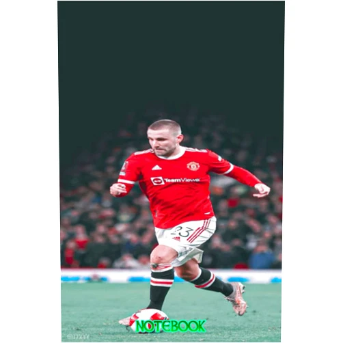 Garciazz Adrian Notebook : Luke Shaw Notebook 100 pages | Thankgiving Notebook | Diary For Students, Teens, and Kids #440