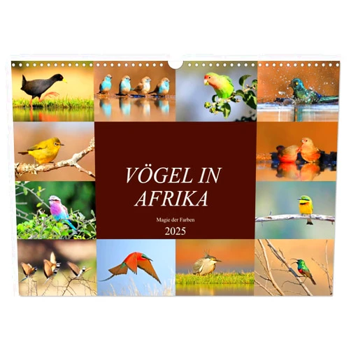 CALVENDO Vögel in Afrika - Magie der Farben (Wandkalender 2025 DIN A3 quer), CALVENDO Monatskalender [Calendar] Michael Herzog