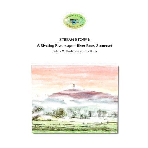 By Sylvia Mary Haslam (Author), Tina Bone (Author) Stream Story I: A Riveting Riverscape-River Brue, Somerset: River Friend Series Book 2