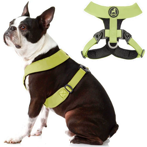 Gooby Comfort X Harness Dual Snap - Green, Medium - No Pull Small Dog Harness with Rotational Buckles and Patented Choke-Free X Frame - Dog Harness for Medium Dogs No Pull and Small Dogs