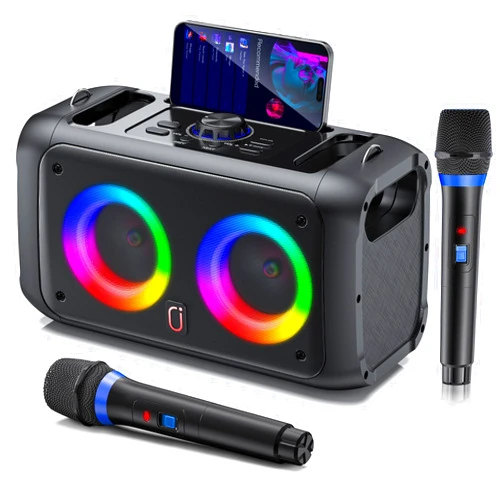JYX Karaoke Machine with 2 Wireless Microphones,Portable Bluetooth Speaker for Adults & Kids,PA System Singing Karaoke Speaker with LED Lights,Supports TF Card/USB, AUX in,TWS for Party