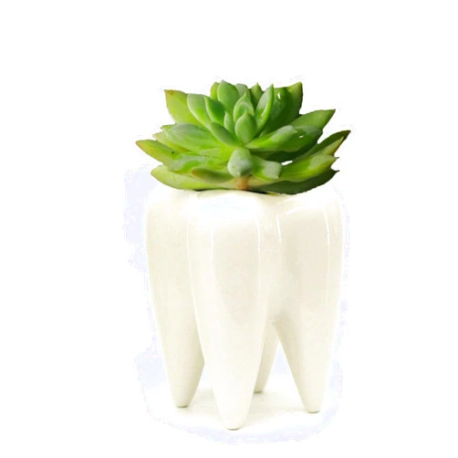 MONMOB Ceramic Tooth Shaped Pen Pencil Toothbrush Holder Pot Succulent Plant Pot Home Office School Dentists Gift Ideal Gifts for Women, Mom or Birthdays