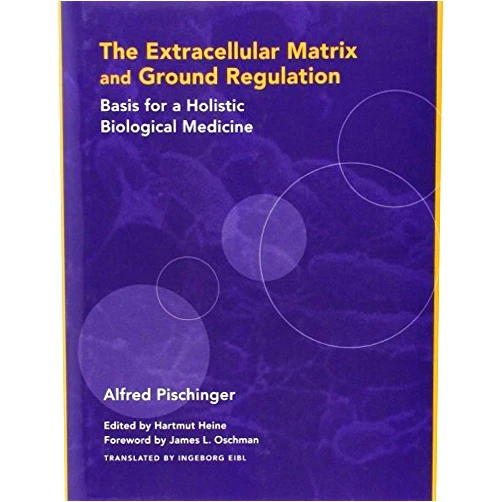 By unknown author (Author) The Extracellular Matrix and Ground Regulation: Basis for a Holistic Biological Medicine by Alfred Pischinger (2007-07-17)