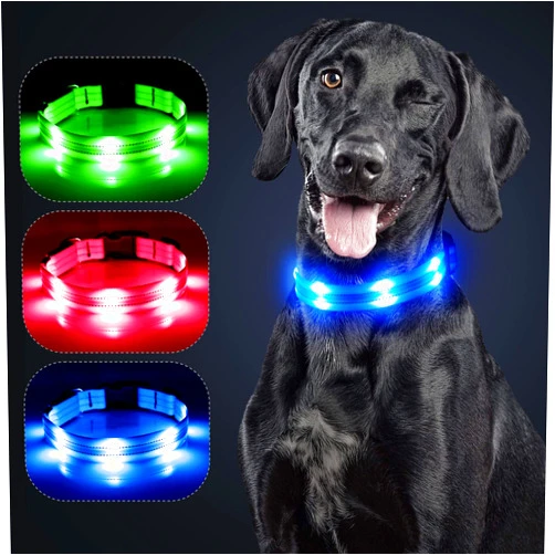 Weesiber Light Up Dog Collars - Rechargeable LED Dog Collar - Reflective Dog Camping Collar - Adjustable Christmas Puppy Collars - Glowing Dog Lights for Night Walking (Blue Style 2, M)