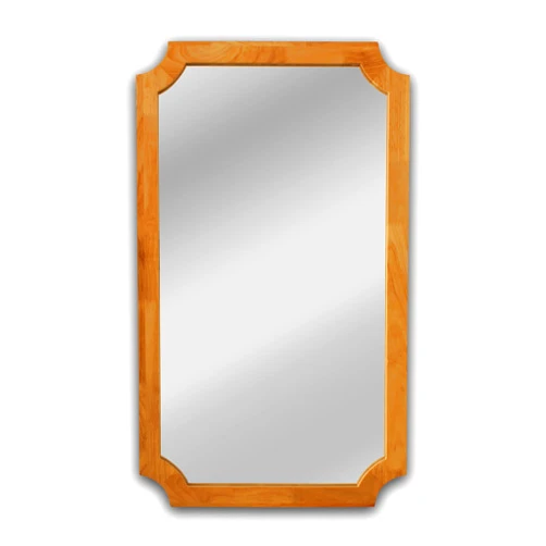CHLOE'S Reflection Maple Finish Rectangular Framed Wall Mirror 33