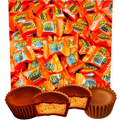 Sweetsome Reeses Peanut Butter Miniature Cups Candy - Peanut Butter covered in Rich Milk Chocolate - individually wrapped - Bulk Pack (1 Pound)