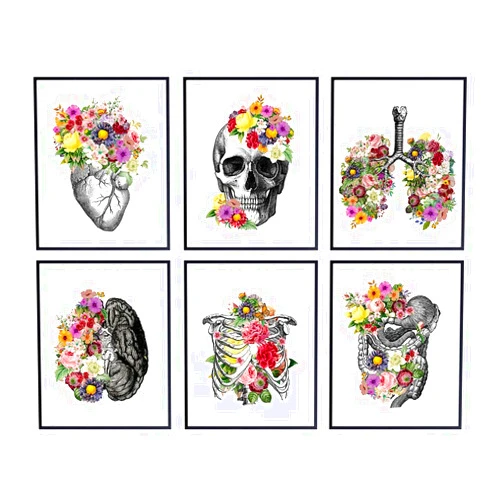 YELLOWBIRD ART & DESIGN Medical Anatomical Art Set - 8x10 Vintage Floral Anatomy Posters - Retro Wall Decor for Doctors Office, Clinic, Med Student Dorm - Shabby Chic Gift for Nurses, Physicians Assistant PA -Unframed Photos