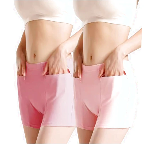 LaseVe Breathable Comfort Womens Underpants Cotton Underwear Panties Hidden Zipper Pocket Travel Stash Briefs