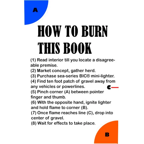 Evan Witmer,Jay Winkleman,Daniel Brickner,David Schroeder,JL Amos,Kenna DeValor,Jacob White,Katrina Burge,Jack Goodwille,Other Editors: Jean Maguire-Agentowicz, Pamela Witmer, Sami Taylor, Cindy Gyzl How To Burn This Book (Odd Fiction)