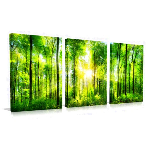 HLJ ART Forest Art Canvas Wall Decor: 3 Panel Nature Wall Art Landscape Paintings Framed Trees Green Pictures Sunrise Scenery Wall Decor for Living Room Bedroom Office Bathroom 12 x 16 Inch