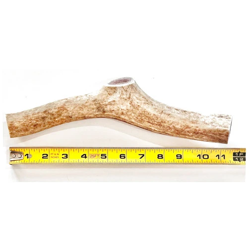 HEARTY CHEWS Premium ELK Antler for Dogs, Naturally Shed,100% Organic Grade A Antler Dog Bone, Organic Teeth Cleaner, Lasting Nutritional Treat for Your Puppy & Dog - Large (About 7-9 inches)