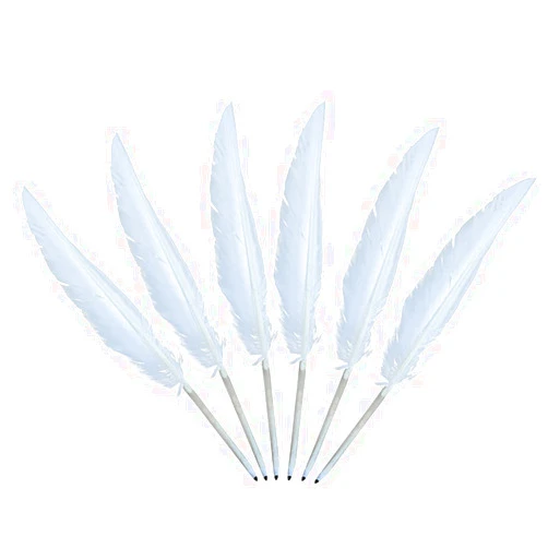 CcHuDE 6 Pcs White Feather Quill Pens Vintage Feather Signing Pen Wedding Fancy Signature Pen Black Ink Writing Pens for Party Guests