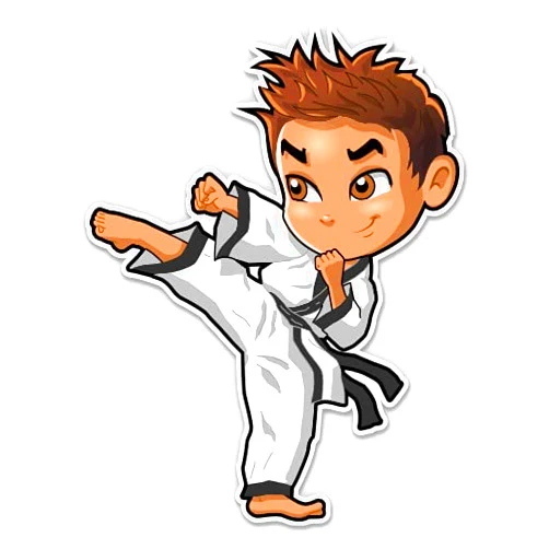 GT Graphics Express Karate Boy - 3