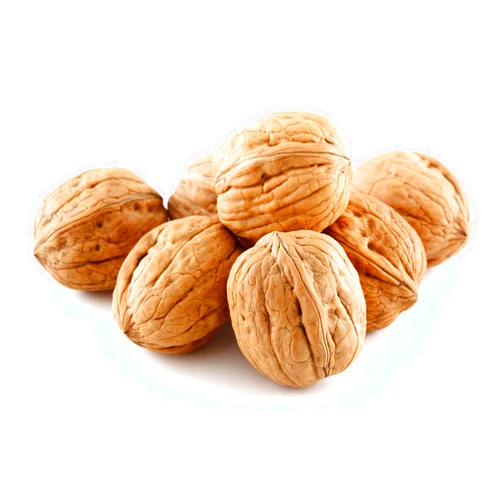 Anna and Sarah Walnuts in Shell, Jumbo, Fresh, Buttery Taste, Easy to Crack, California Chandler, Natural Shells, Not Bleached 5.5 Lbs